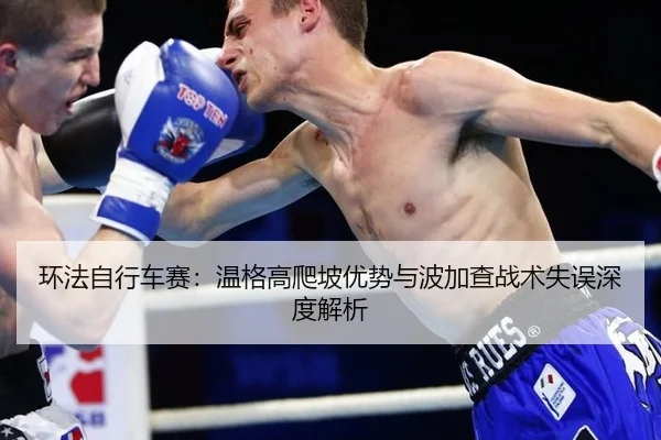 环法自行车赛：温格高爬坡优势与波加查战术失误深度解析